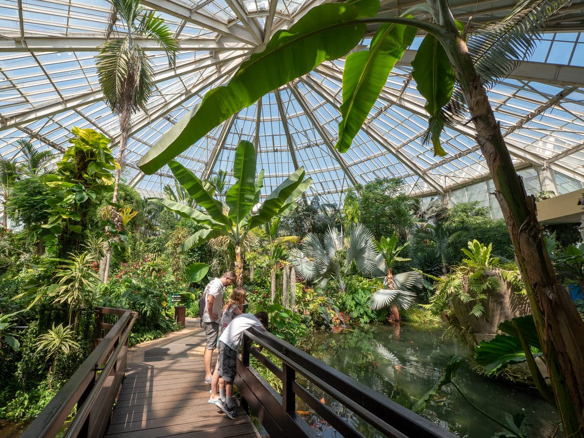 Parc Phoenix — Nice